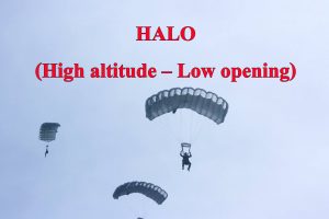 โดดร่ม Halo