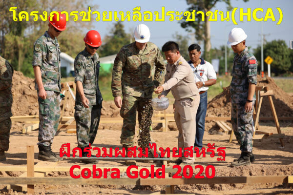 Cobra Gold 2020