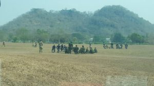 ฝึกคอบร้าโกลด์